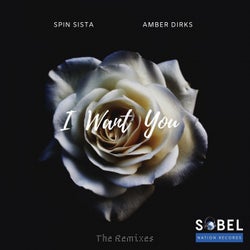 I Want You (feat. Amber Dirks) [The Remixes]
