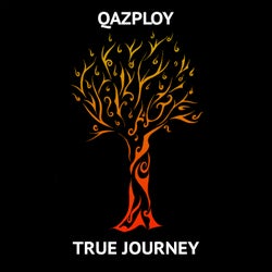 True Journey