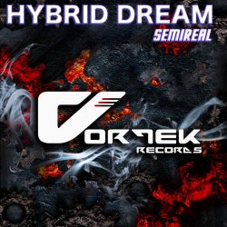 Hybrid Dream