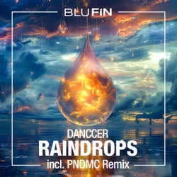 Raindrops (The Remixes)