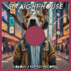 Straight House Vol 3