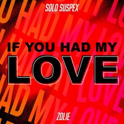 If You Had My Love (feat. Zolie) (Extended Mix)