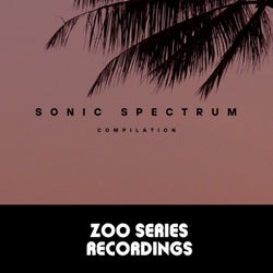 Sonic Spectrum