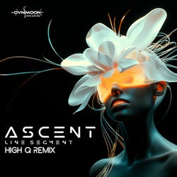 Line Segment (High Q Remix)