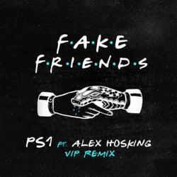 Fake Friends (VIP Extended Mix)