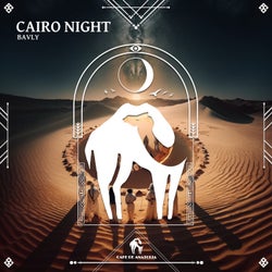 Cairo Night