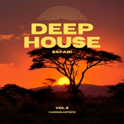 Deep-House Safari, Vol. 2