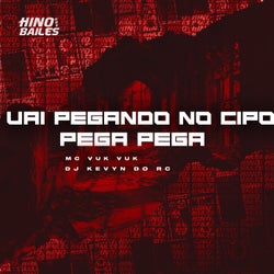 Vai Pegando no Cipó Pega Pega