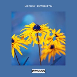 Don't Need You