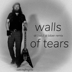 Walls Of Tears (al l biber remix)