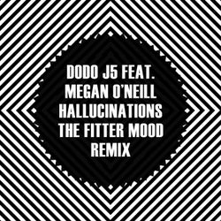 Hallucinations (The Fitter Mood Remix)