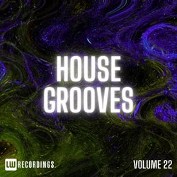 House Grooves, Vol. 22