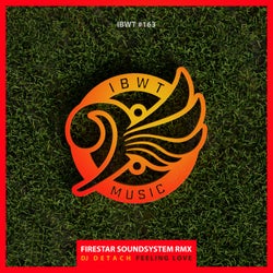 Feeling Love (Firestar Soundsystem Remix)