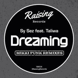 Dreaming (Mikki Funk Remixes)