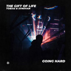 The Gift Of Life (Extended Mix)