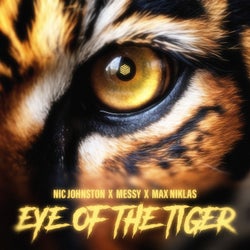 Eye of the Tiger (Extended Mix)