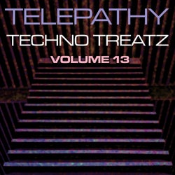 Techno Treatz Volume 13