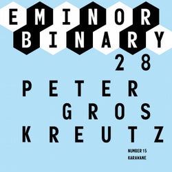 EMINOR Binary 28