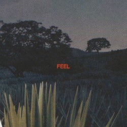 Feel