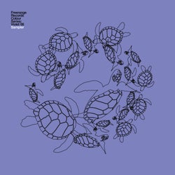 Freerange Records Colour Series: Violet 08 Sampler