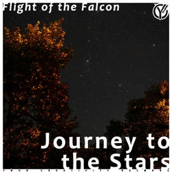 Journey to the Stars