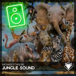 Jungle Sound