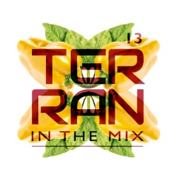 013 DJ Terran in the mix