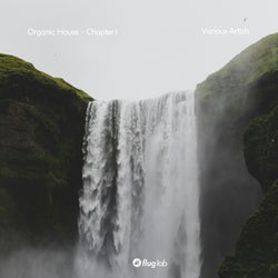 Organic House - Chapter I