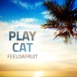 Play Cat