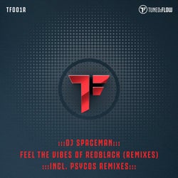 Feel the Vibes of RedBlack (Remixes)