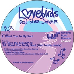 Want You In My Soul (feat. Stee Downes)