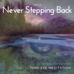 Never Stepping Back - Tracks For Focused Third Eye Meditation, Vol.2