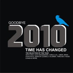 Goodbye 2010