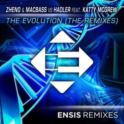 The Evolution (The Remixes)