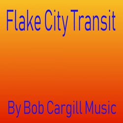 Flake City Transit