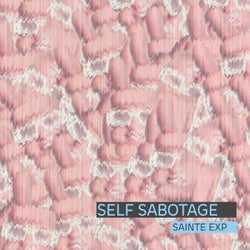 Self Sabotage