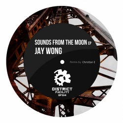Sounds From The Moon