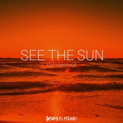 See The Sun