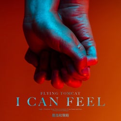 I Can Feel