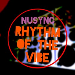 Rhythm Of The Vibe