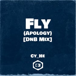 Fly (Apology) [DnB Mix]