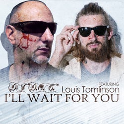 I'll Wait For You (feat Louis Tomlinson)