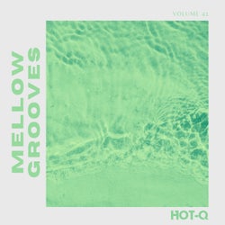 Mellow Grooves 041