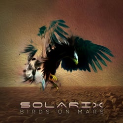 Birds On Mars