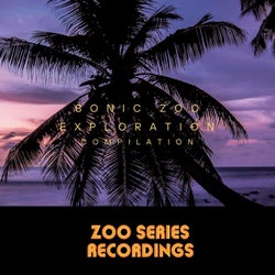 Sonic Zoo Exploration