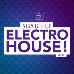 Straight Up Electro House! Vol. 14