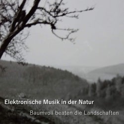 Elektronische Musik in Der Natur (Baumvoll beaten die Landschaften)