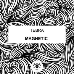 Magnetic