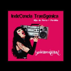 Envergadura (Indecencia Transgenica - Hija De Perra + Perdida)