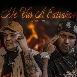 Me Vas a Extrañar